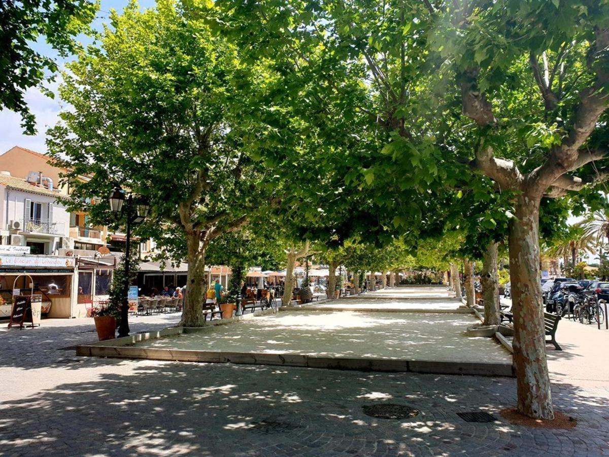 Climatise Avec Terrasse Et Parking Au Centre Du Lavandou - Fr-1-251-202 Apartment *