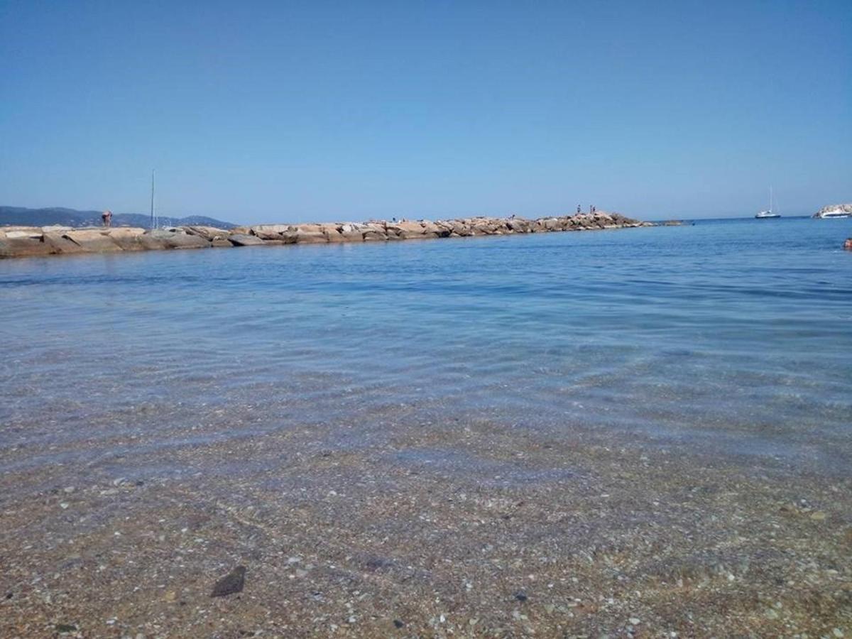 Climatise Avec Terrasse Et Parking Au Centre Du Lavandou - Fr-1-251-202 Apartment *